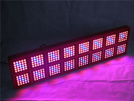 1200W Commercial Full Spectrum Led Grow Light For Garden Medical Cannabis Hemp Grow Tent