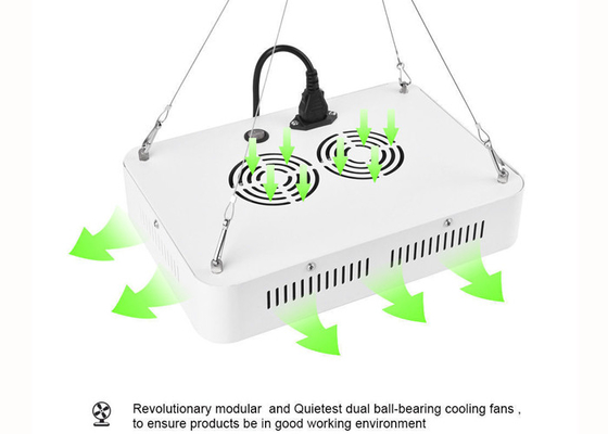 Marijuana 300W Diy Led Grow Lights For Indoor Greenhouse Garden Horticultural Agricultural