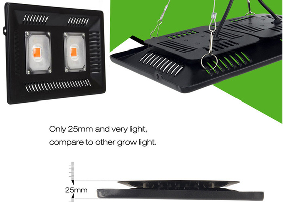 Ultra Thin COB Full Spectrum 100w Outdoor Grow Lights IP67 Flowers Growing For Vegetables Bloom