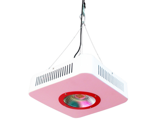 High PAR PPFD Full Spectrum Grow Lights , 168 Watt DIY Commercial Grow Lights