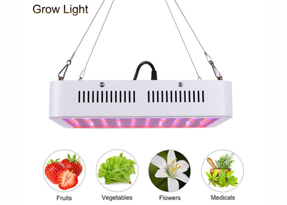 Marijuana 300W Diy Led Grow Lights For Indoor Greenhouse Garden Horticultural Agricultural