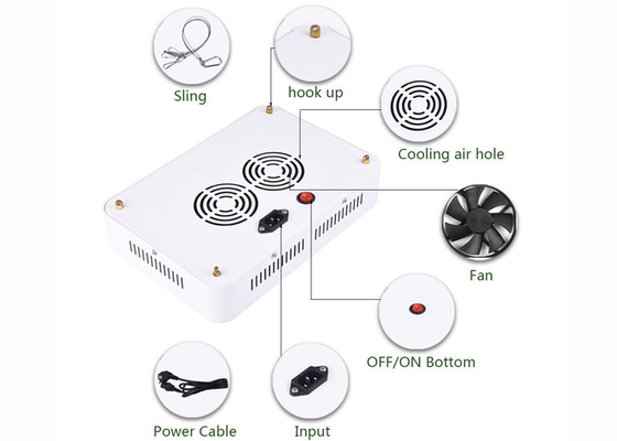 Marijuana 300W Diy Led Grow Lights For Indoor Greenhouse Garden Horticultural Agricultural