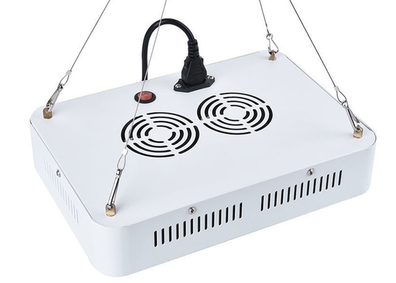 Marijuana 300W Diy Led Grow Lights For Indoor Greenhouse Garden Horticultural Agricultural