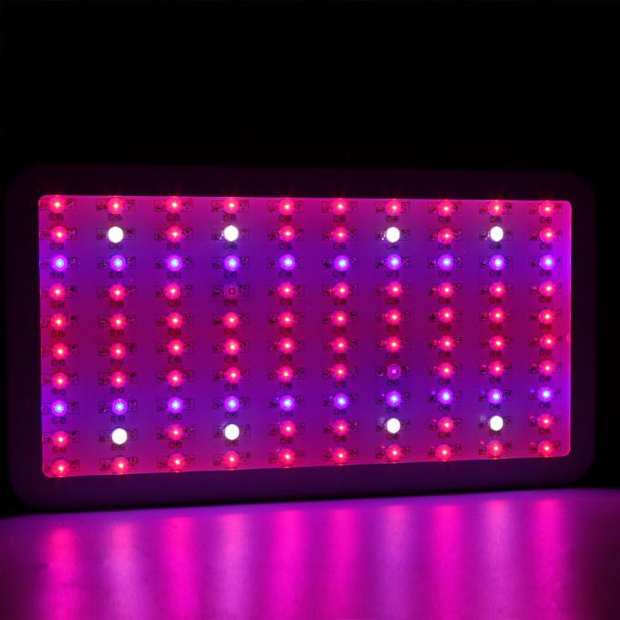 300w ทำให้แสงสว่างโตขึ้น